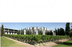 Bacalhôa - Vinhos de Portugal