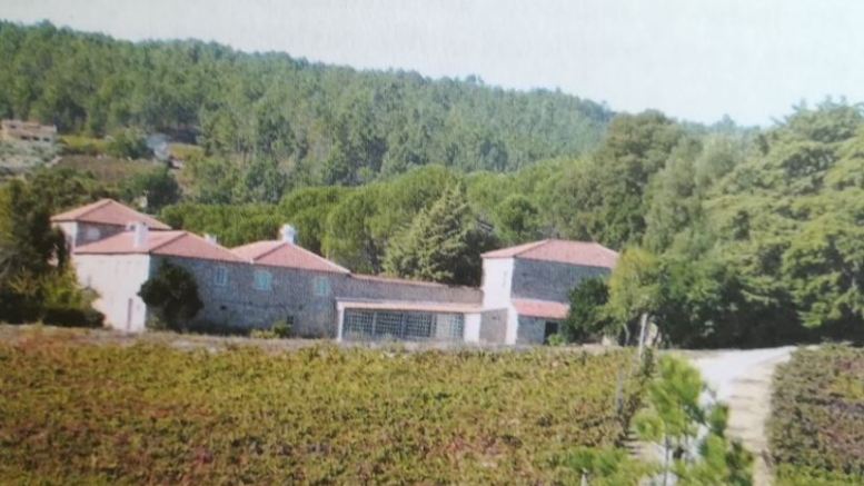 a-unique-vineyard-tboadella