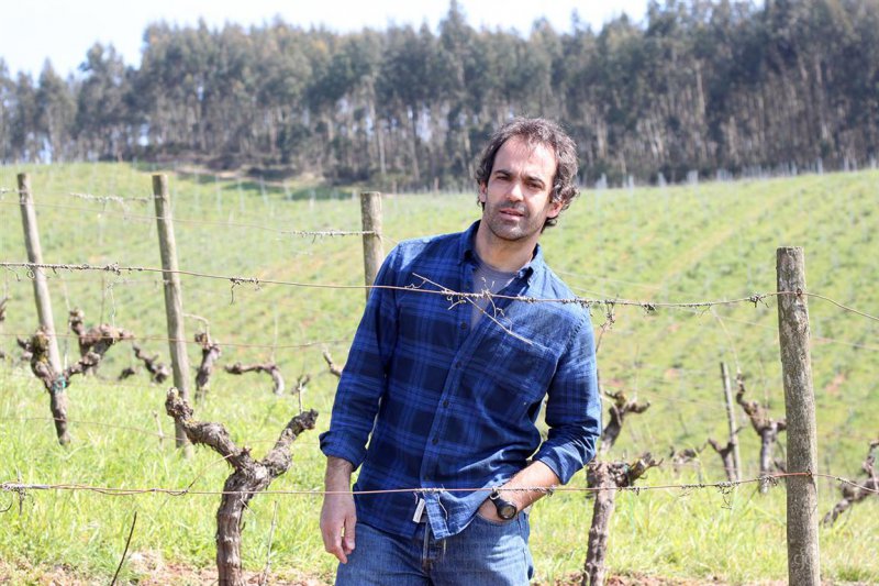 humus-encosta-da-quinta-quinta-do-pa-o