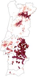 map-aragonez-tinta-roriz