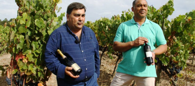 quinta-dos-abibes-owners