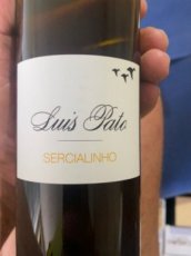 Luis Pato Branco Sercialinho 2020 Branco